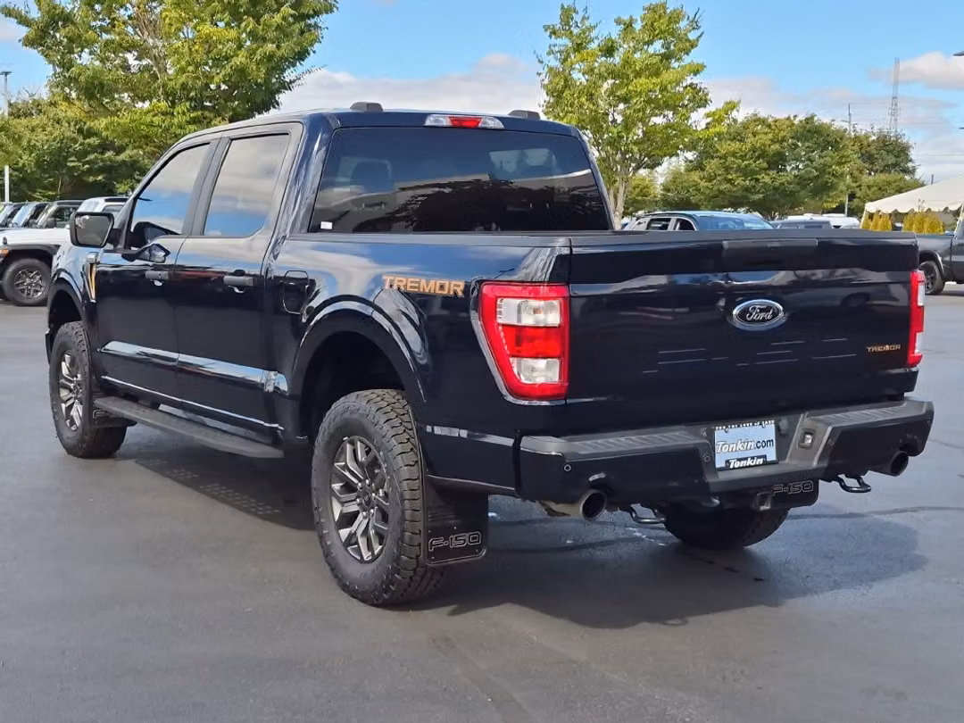 2022 Ford F-150 Tremor - Image 3
